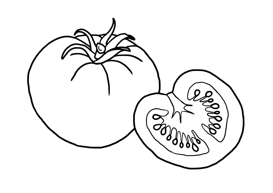 Coloring page Sliced tomato Print